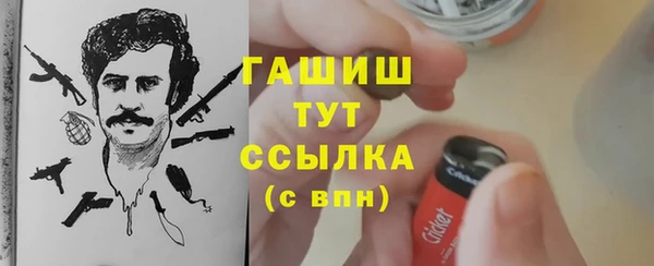 прущий лед Алзамай