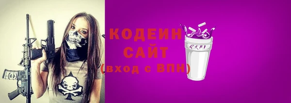 прущий лед Алзамай