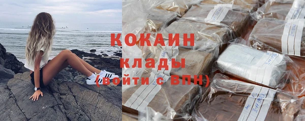 прущий лед Алзамай