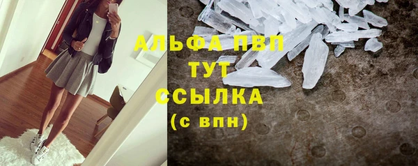 прущий лед Алзамай