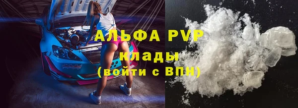 прущий лед Алзамай
